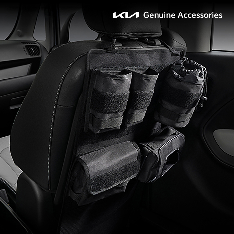 시트백 오거나이저(앞좌석), 레이